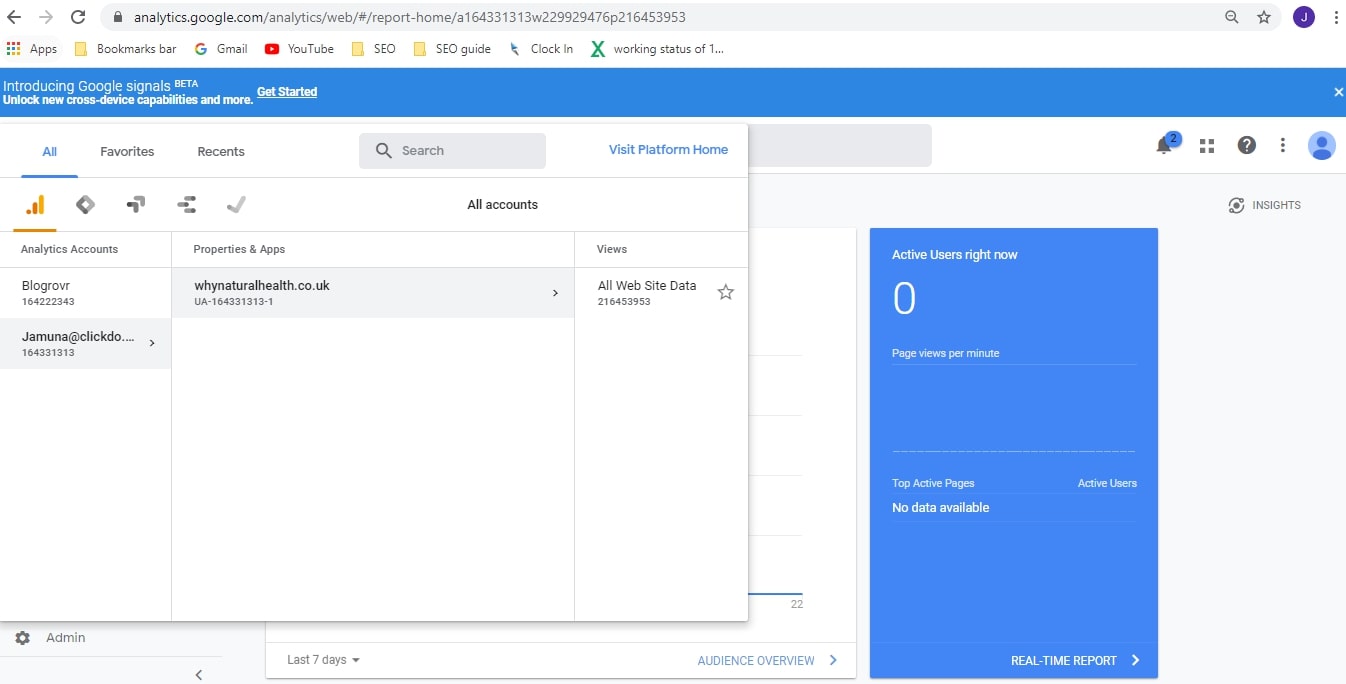 Google analytics page