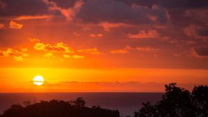 Catch the Sunrise